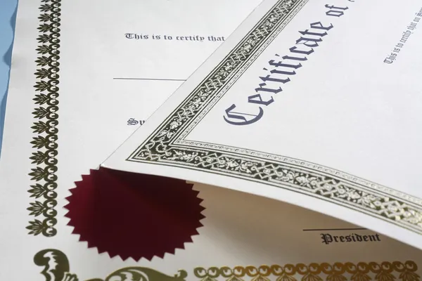 Close-up of official certificates with ornate borders and embossed seals, symbolizing professional accreditation or achievement.