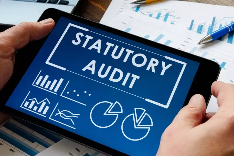 Tablet screen displaying "Statutory Audit" with financial graphs and charts in the background